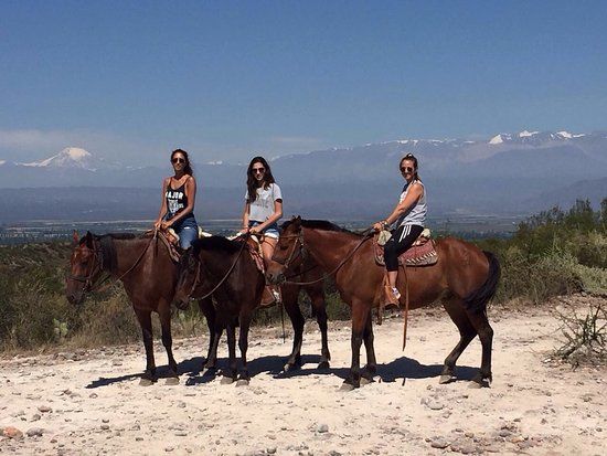 Los Pingos Horse Riding